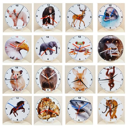 Your favourite animal a - your, on